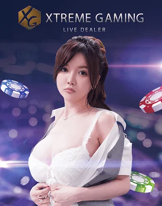 13-providers-casinos