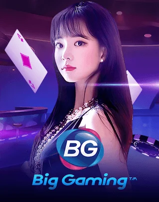 14-providers-casinos